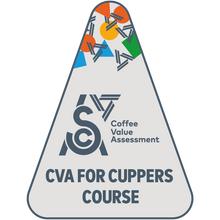 Load image into Gallery viewer, SCA Coffee Value Assessment (CVA) ~ Course for Cuppers (2 Days)